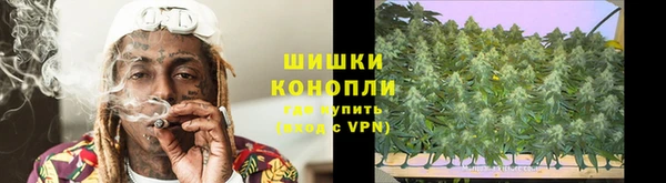 прущие грибы Богородицк