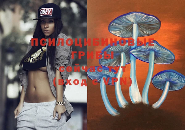эйфоретик Приозерск