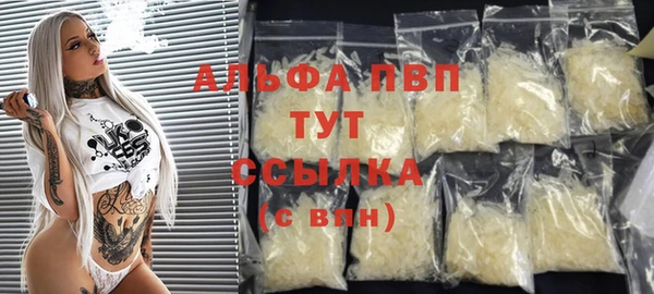 прущие грибы Богородицк