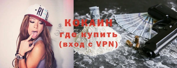 прущие грибы Богородицк