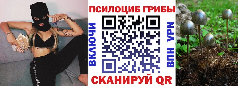 Псилоцибиновые грибы мухоморы  Бородино 