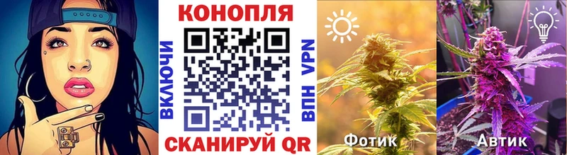 Конопля Bruce Banner  Бородино 